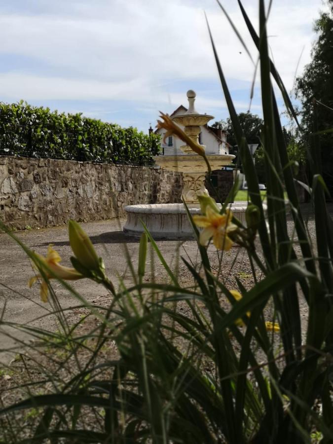 La Morgiane Bed and Breakfast Saint-Germain-les-Vergnes Exteriör bild